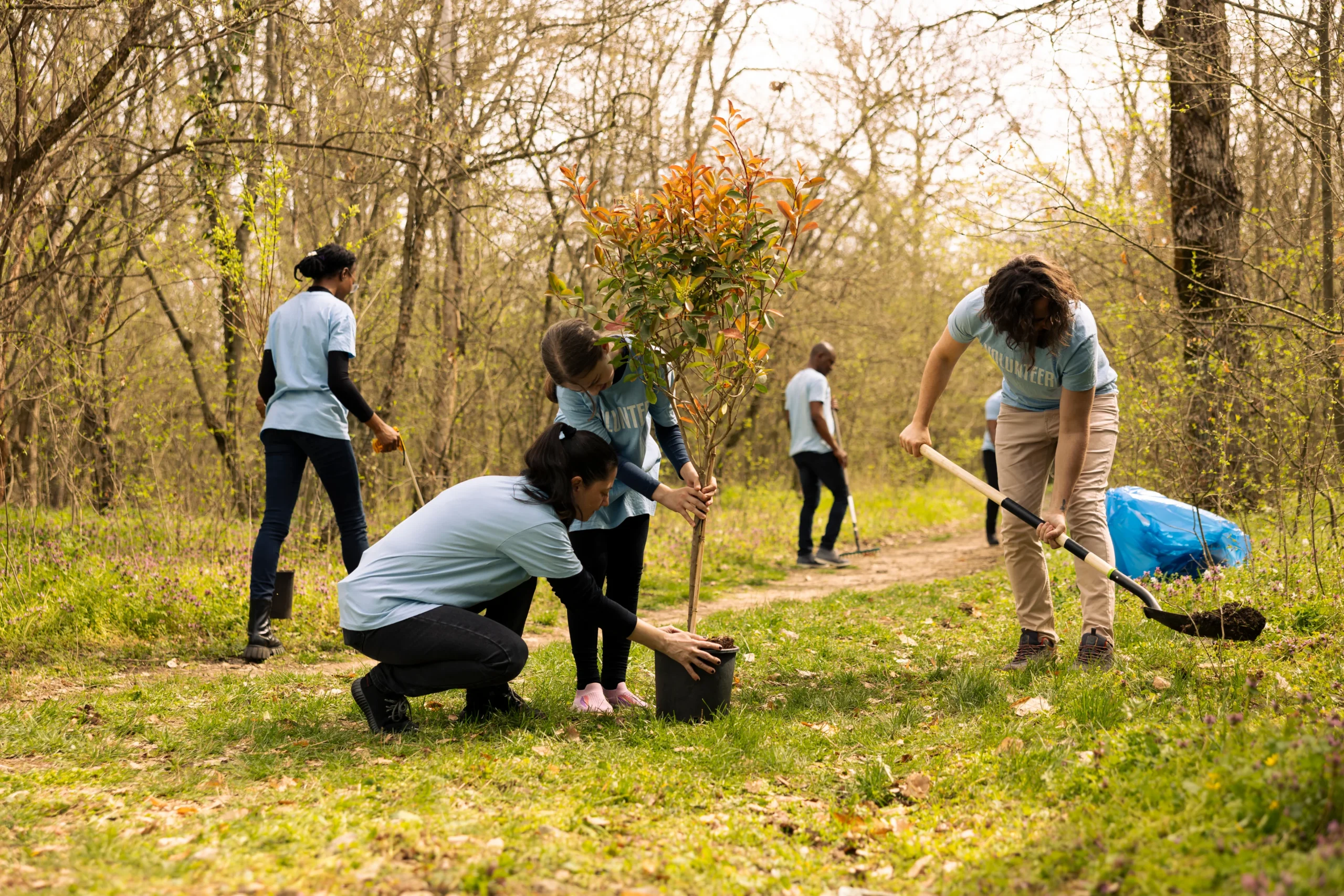 Landscape Actions: Collaborative Solutions for Climate and Deforestation